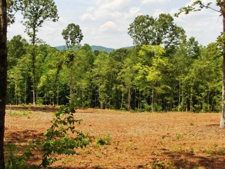 More of field on lot 10