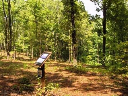 Lot 10 homesite