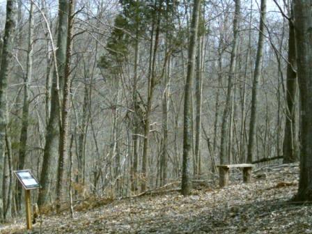 View of lot 10 homesite