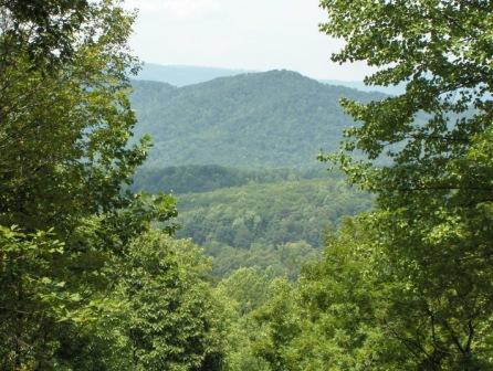 View from Lot 12