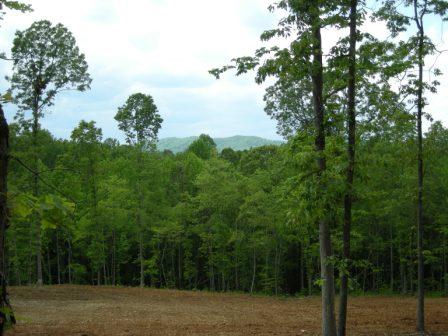 View of field on lot 10