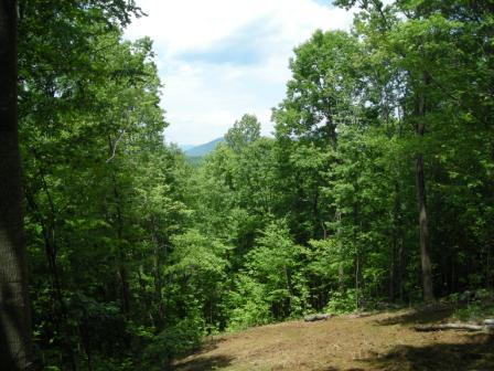 View of and from Lot 6