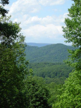 View from Stagebridge Lot 12 Photo